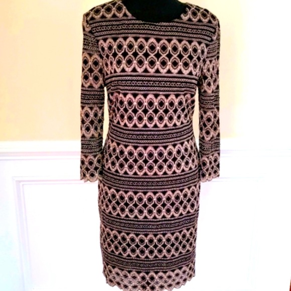 Cache Bodycon Lace Dress - Picture 1 of 6